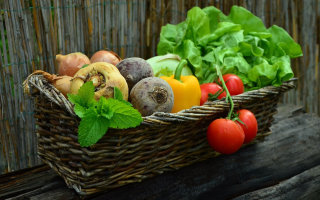 16 Tipps für den gelungenen Gemüseanbau im Garten