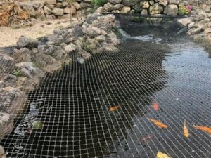 Teich vor Reiher schützen Fischreiher vertreiben So geht's