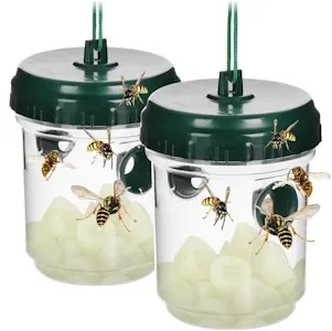 com-four® 2X Insektenfalle aus Kunststoff - Wespenfalle zum Aufhängen - naturschützende Lebendfalle für Wespen, Fliegen und Hornissen - effektive Wespenabwehr (02 Stück - grün 13cm)
