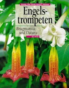 Engelstrompeten. Brugmansia und Datura von Hans G Preissel und Ulrike Preissel