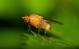 Gartenratgeber.com