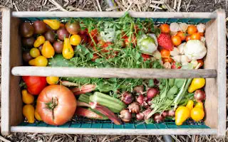 Fruchtfolge Tabelle: Fruchtfolge Gemüsegarten Tabelle PDF
