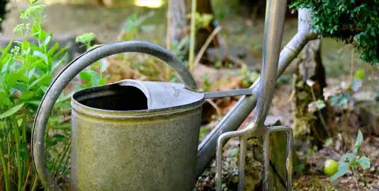 Zubehör - Die besten Hilfsmittel für Ihren Garten