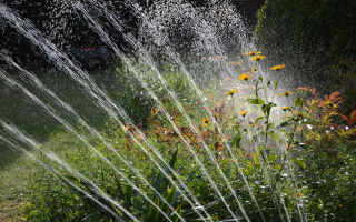 Gartenbewässerung » Arbeitserleichterung durch eine Bewässerungsanlage