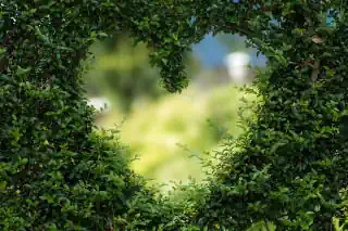 Gartenratgeber.com