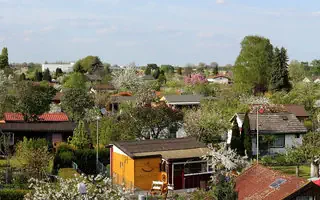 Gemüse pflanzen im Kleingarten