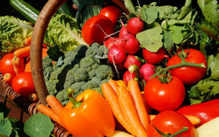 Gemüse pflanzen im eigenen Garten: Tipps zum Aussäen und Anbau