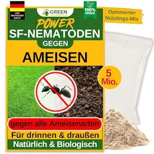 GREEN GUARDIA Super SF-Nematoden gegen Ameisen – 5 Mio. für 10m² - Biologisches Mittel zur effektiven Ameisen Bekämpfung – Umweltfreundlich, chemiefrei, einfache Anwendung 