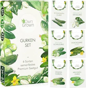 Gurken Samen Set: 6 Sorten Gurken Saatgut mit Freilandgurken Samen, Einlegegurken Samen, Minigurke Samen – Samen Gemüse Samen, OwnGrown Gurke Samen