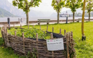 Hochbeet befüllen mit Rindenmulch was muss ich beachten?