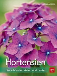 Hortensien: Die schönsten Arten und Sorten von Katharina Adams