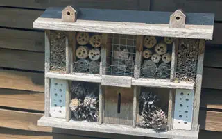 Insektenhotel – das müssen Sie bei Kauf beachten
