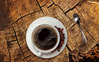 Kaffeesatz ist als Gartendünger sehr wertvoll