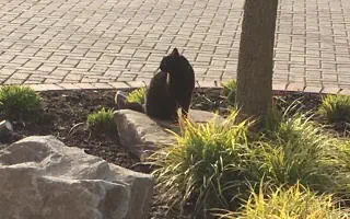 Gartenratgeber.com