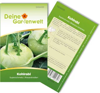 Kohlrabi Superschmelz Samen - Brassica oleracea - Kohlrabisamen - Gemüsesamen - Saatgut für 80 Pflanzen