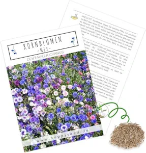 Kornblumen Samen (Centaurea cyanus) - Wunderschön leuchtende Blumen mit langer Blütezeit für eine bunte Blumenwiese (Mix, 1000 Korn, 80 cm)