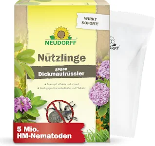 Neudorff Nützlinge gegen Dickmaulrüssler und Engerlinge – 5 Mio. HM-Nematoden für 10 m² – Bekämpft auch Junikäfer, Maikäfer, Rüsselkäfer und Gartenlaubkäfer
