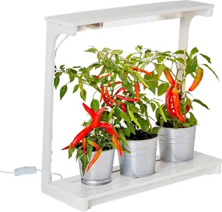 Northpoint LED Pflanzenlampe Pflanzenleuchte Kräutergarten Innengarten Gewächslampe Pflanzenlicht 14W 850 Lumen Grow Timer (Viereck) [Energieklasse G]