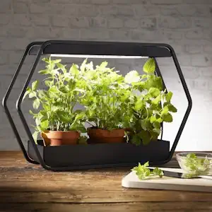 Northpoint Design LED Pflanzenlampe Pflanzenleuchte Kräutergarten Innengarten Gewächslampe Metallgestell 14W 1000 Lumen Timer Industrial-Look [Energieklasse A+]