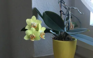 Gartenratgeber.com