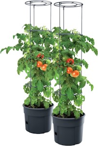 PAFEN 2X Tomatenpflanze Pflanzkübel - 392 x 1530 mm - Tomato Grower Pflanzen Tomate Garten Terrasse