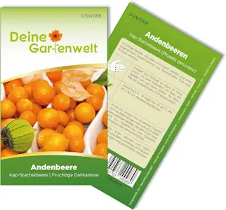 Physalis Andenbeere Kapstachelbeere Samen - Physalis peruviana - Andenbeerensamen - Obstsamen - Saatgut für 50 Pflanzen