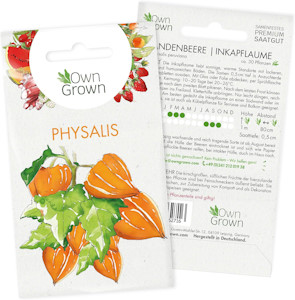 Physalis Samen: Premium Andenbeere Samen für ca. 30x Andenbeere Pflanzen – Kapstachelbeere Pflanzen Samen – Saatgut Physalis, Obst Samen – Frucht Samen für Physalis Pflanze winterhart von OwnGrown