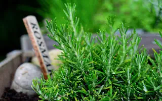 Gartenratgeber.com