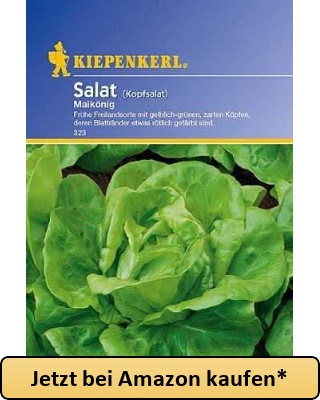 Salat Kopfsalat Maikönig - Marke: Kiepenkerl - Jetzt bei Amazon kaufen*