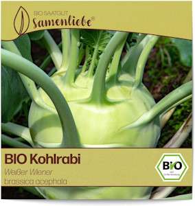 Samenliebe BIO Kohlrabi Samen alte Sorte Weißer Wiener 200 Samen samenfestes Gemüse Saatgut für Gewächshaus Freiland und Balkon BIO Gemüsesamen