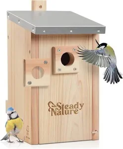 Steady Nature Meisen Nistkasten für Kohlmeisen und Blaumeisen - Nistkästen für Meisen nach NABU - Vogelhaus Nistkasten - Nistkasten für Vögel für draußen
