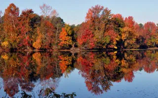Teichpflege im Herbst » so geht es richtig