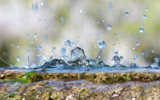 Tipps zur Regenwassernutzung im Garten