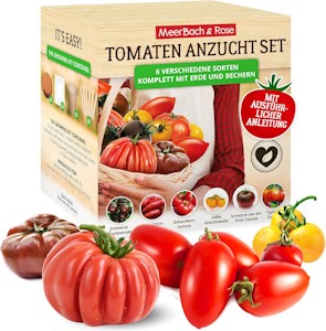 Tomaten Anzuchtset mit 6 leckeren Sorten, Anzucht Erde, Töpfen und Anleitung für die perfekte Tomatenanzucht - Jetzt bei Amazon kaufen*