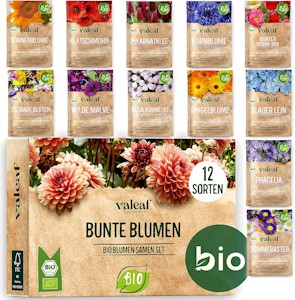 valeaf BIO Blumen Samen Set I 12 Sorten Blumensamen I Premium Samen Blumen I Pflanzensamen Set mit Wildblumensamen I Saatgut Blumen I Blumensaat I Blumen Samen Balkon I ideales Blumensamen Geschenk 