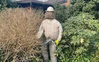 Gartenratgeber.com