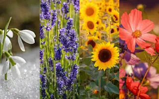 Gartenratgeber.com