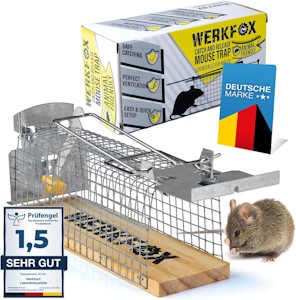 Werkfox® Lebendfalle Mäusefalle Tiefreundliche Falle Lebendmäusefalle; Humane Mäuse-Fang-Methode; Wiederverwendbar & Sicher (1 Stück)  - Jetzt bei Amazon kaufen*