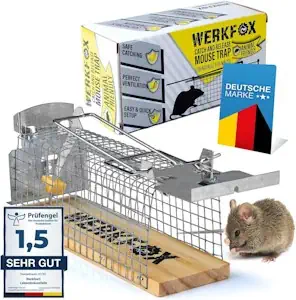 Werkfox® Lebendfalle Mäusefalle Tiefreundliche Falle Lebendmäusefalle; Humane Mäuse-Fang-Methode; Wiederverwendbar & Sicher (1 Stück)