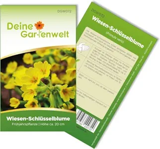 Wiesen-Schlüsselblume Samen - Primula veris - Wiesen-Schlüsselblumensamen - Blumensamen - Saatgut für 25 Pflanzen
