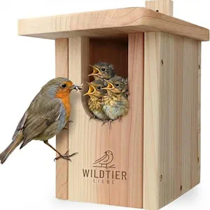 wildtier liebe Vogel Nistkasten Rotkehlchen aus Massiv-Holz, Verschraubt I Nistkästen nach NABU für Vögel, Nistkasten Rotkehlchen, Vogelhaus Brutkasten für Vögel, Wetterfest 